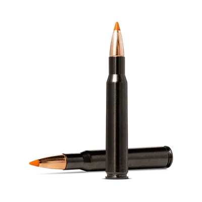 Tipstrike Silencer 30-06 (11,0g-170gr)_1