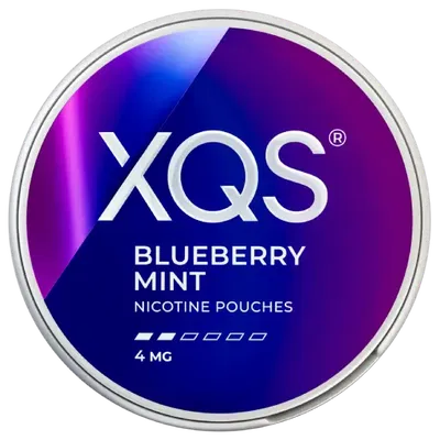 XQS Blueberry Mint Light