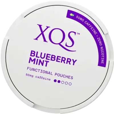 XQS Blueberry Mint Zero