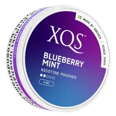 XQS Blueberry Mint Light
