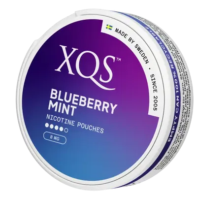 XQS Blueberry Mint Strong
