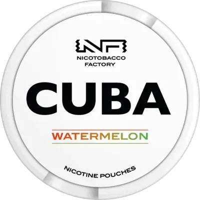 CUBA White Watermelon