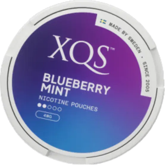 XQS Blueberry Mint Light