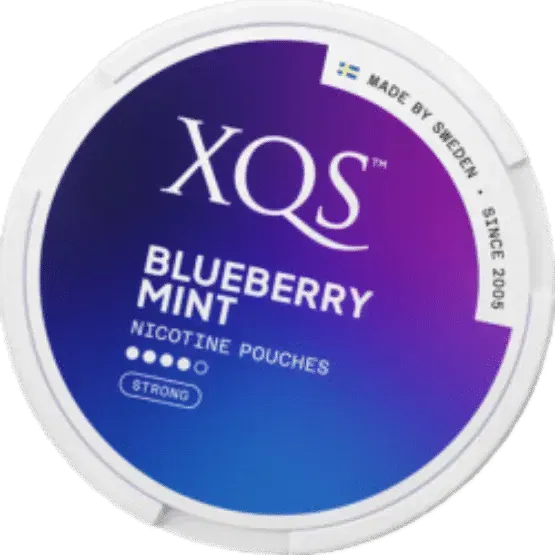 XQS Blueberry Mint Strong
