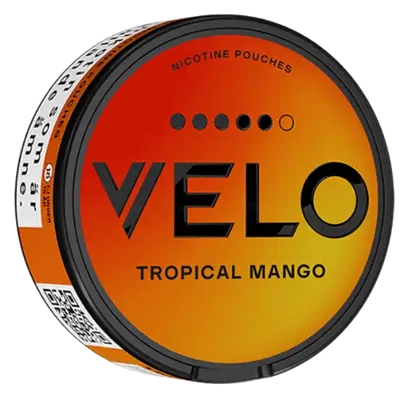 Velo Tropical Mango High Nic