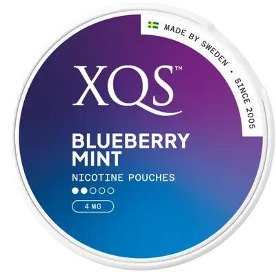 XQS Blueberry Mint Light