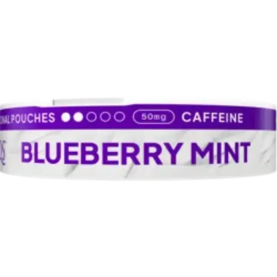 XQS Blueberry Mint Zero