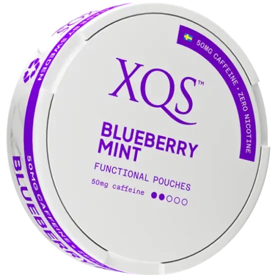 XQS Blueberry Mint Zero