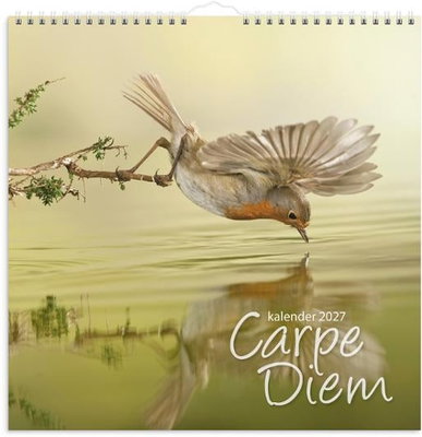 Väggkalender Burde 1721 Carpe Diem 2027