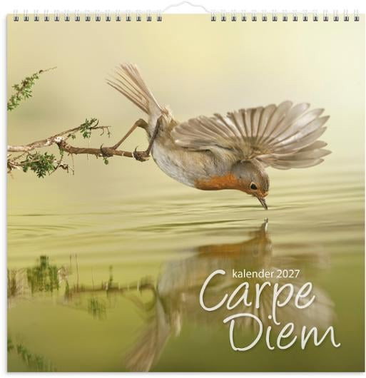 Väggkalender Burde 1721 Carpe Diem 2027
