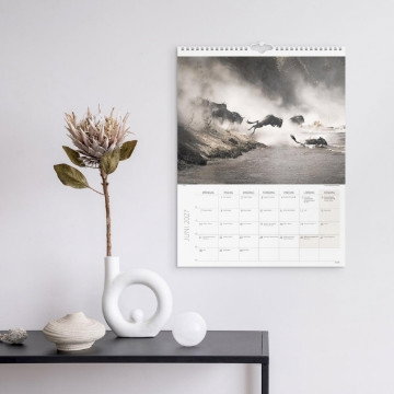 Väggkalender Burde 1761 Savannen 2027