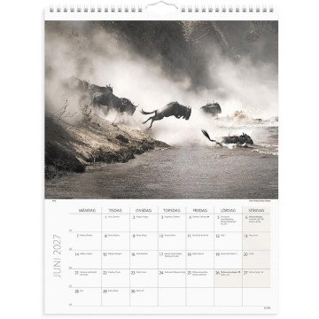 Väggkalender Burde 1761 Savannen 2027