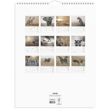 Väggkalender Burde 1761 Savannen 2027