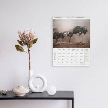Väggkalender Burde 1761 Savannen 2027