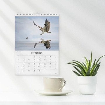 Väggkalender Burde 1786 Fåglar 2027