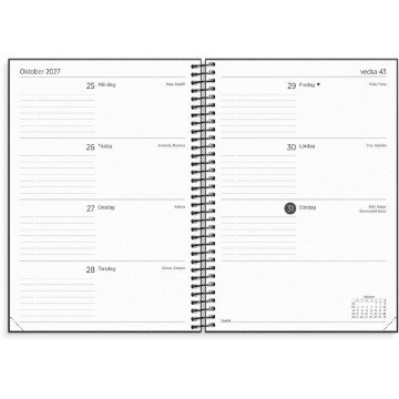 Almanacka Burde 1044 Organizer & Notes 2027 Svart