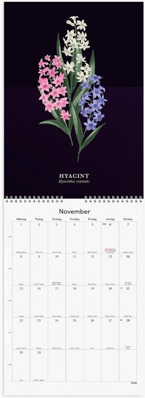 Väggkalender Burde 1799 Illustrerad Blomster 2027 A4