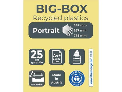Blankettbox EXACOMPTA BIGBOX 4 låd svart
