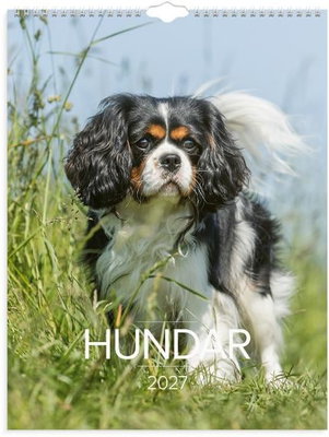 Väggkalender Burde 1777 Hundar 2027