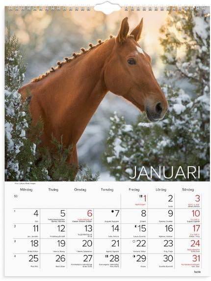 Väggkalender Burde 1776 Hästar 2027