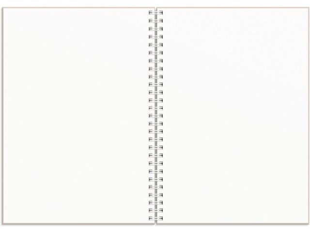 Kalender Plan more A5 25/26