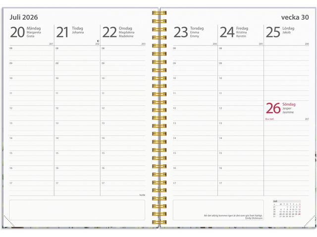 Kalender Study Story Äng A5 25/26