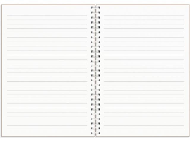 Kalender Plan more A5 25/26