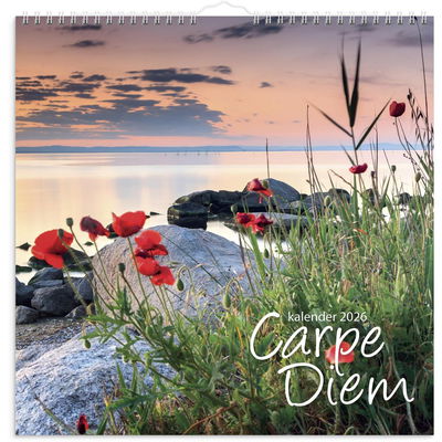 Väggkalender Carpe Diem 2026
