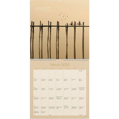 Väggkalender Carpe Diem 2026