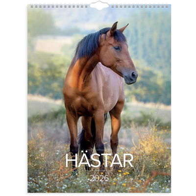 Väggkalender Stora Hästkalendern 2026