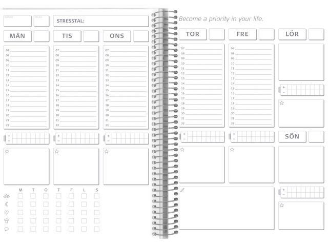 Kalender Balance Log odaterad - 1049