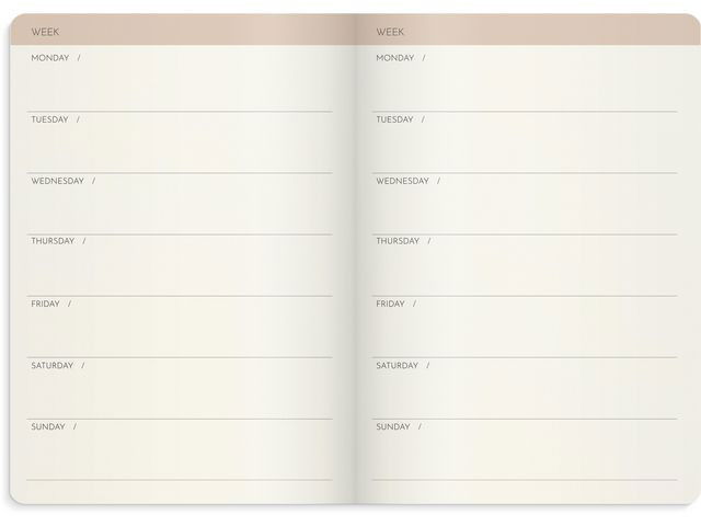 Week Planner Deluxe odaterad