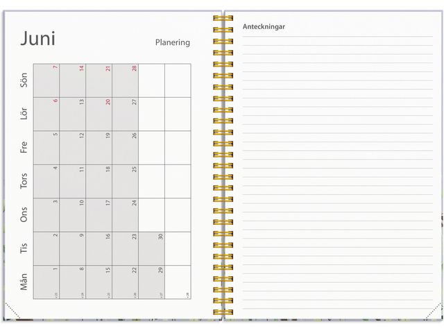Kalender Study Story Äng A5 25/26