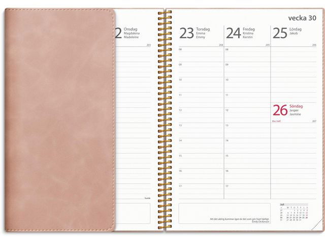 Kalender Study Twist rosa A5 25/26