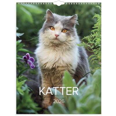 Väggkalender Stora Kattkalendern 2026