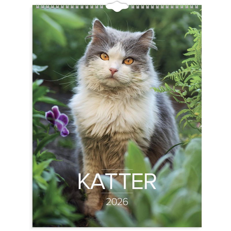 Väggkalender Stora Kattkalendern 2026