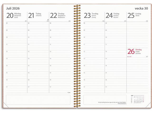 Kalender Study Twist rosa A5 25/26