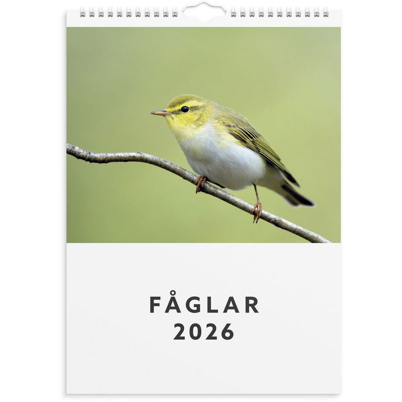 Väggkalender 2026 Fåglar