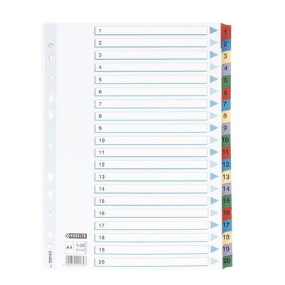 Pärmregister Esselte Mylar 1-20 A4