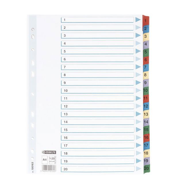 Pärmregister Esselte Mylar 1-20 A4