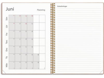 Kalender Study Twist rosa A5 25/26
