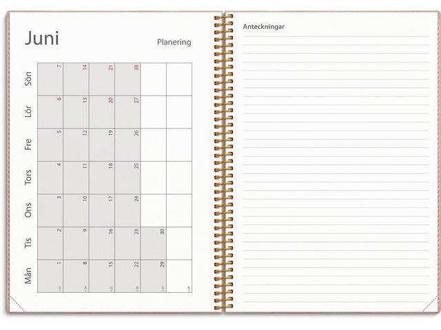 Kalender Study Twist rosa A5 25/26