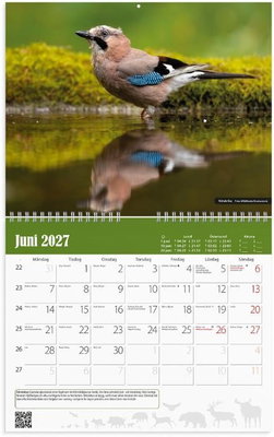 Väggkalender Burde 1738 Jaktkalender 2027