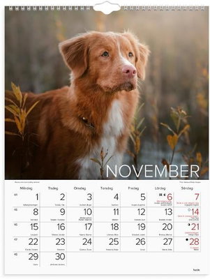 Väggkalender Burde 1777 Hundar 2027