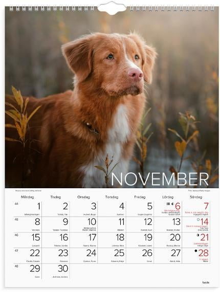 Väggkalender Burde 1777 Hundar 2027