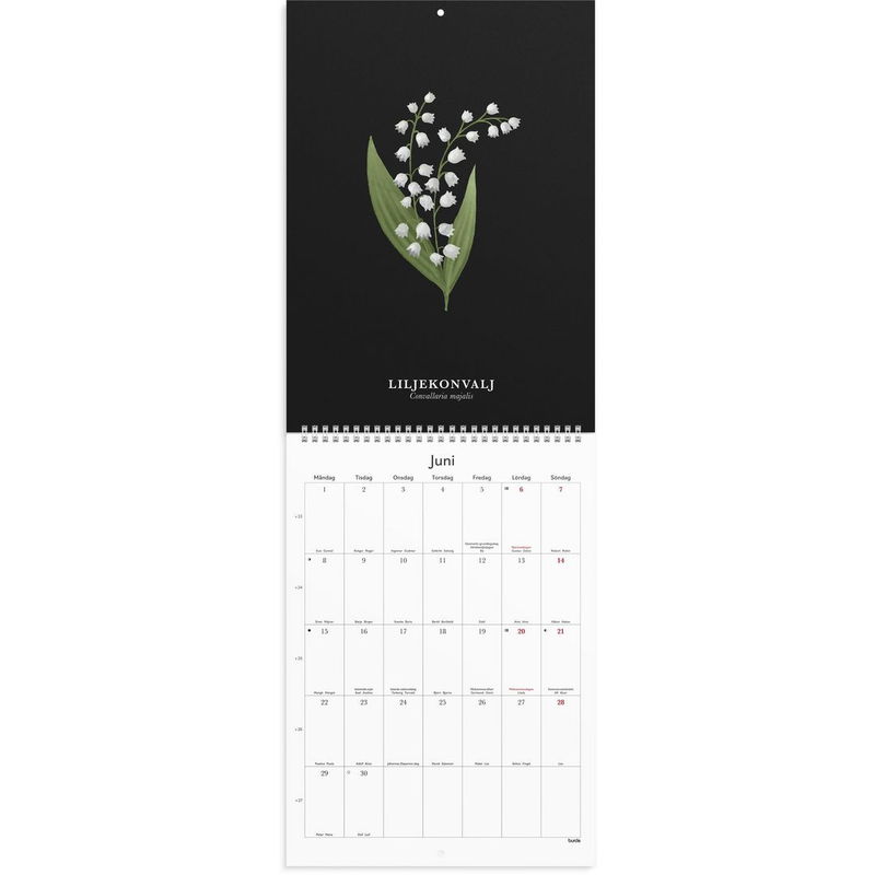 Väggkalender Illustrerad blomster 2026