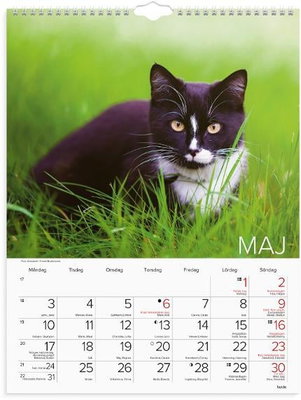 Väggkalender Burde 1775 Katter 2027