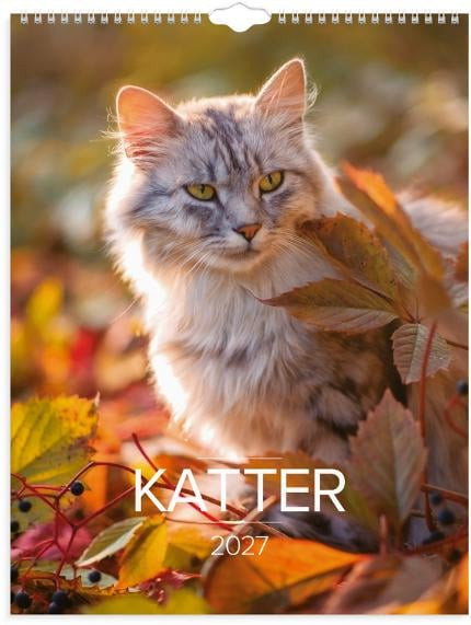 Väggkalender Burde 1775 Katter 2027