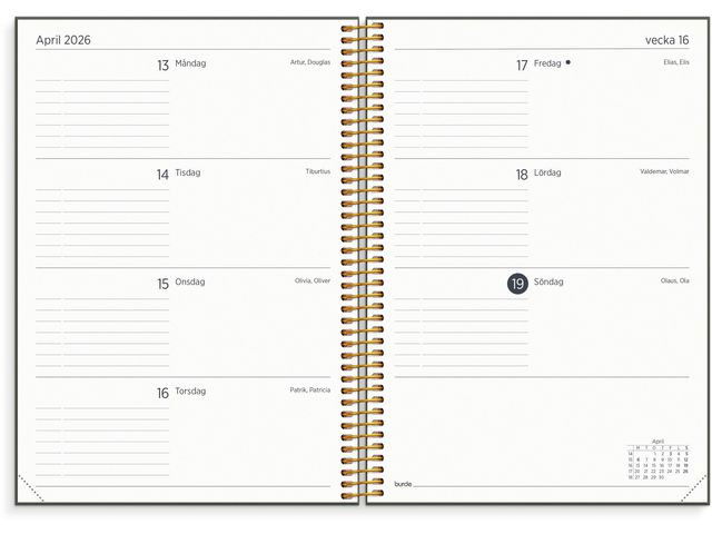 Kalender Organizer & Notes 25/26 grön