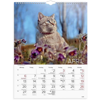 Väggkalender Stora Kattkalendern 2026